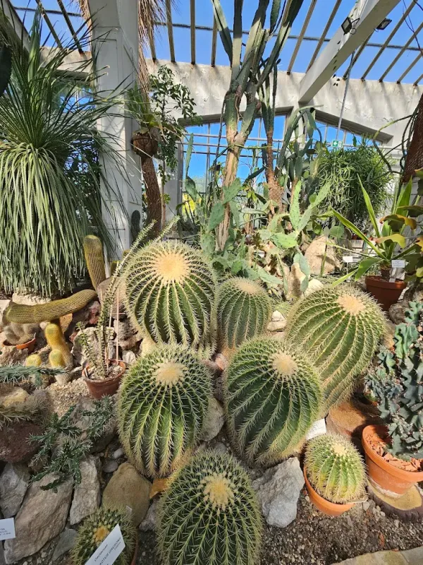 Ogród Botaniczny Uniwersytetu Jagiellońskiego